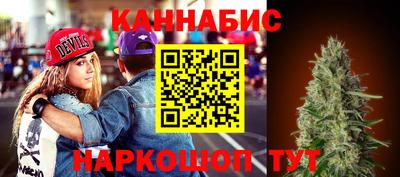 индика Абакан