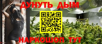 индика Абакан