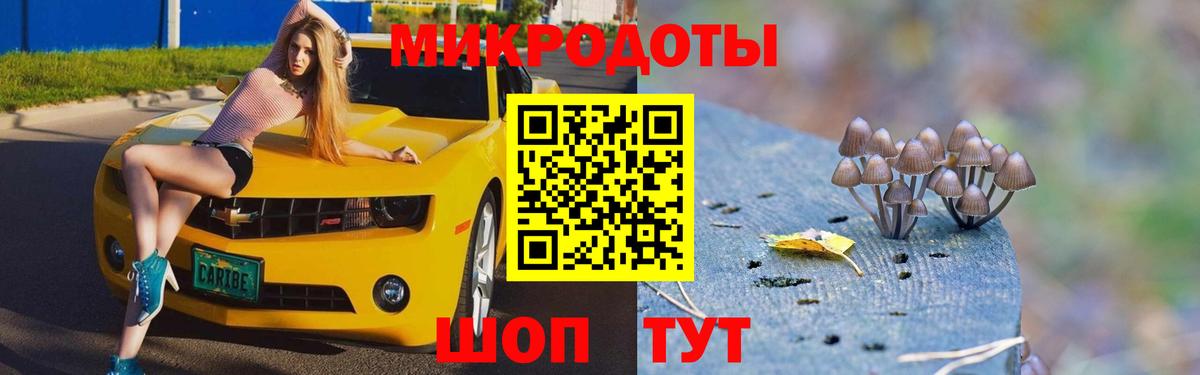 купить наркотик  Вход с VPN  Абакан  Псилоцибиновые грибы Cubensis 